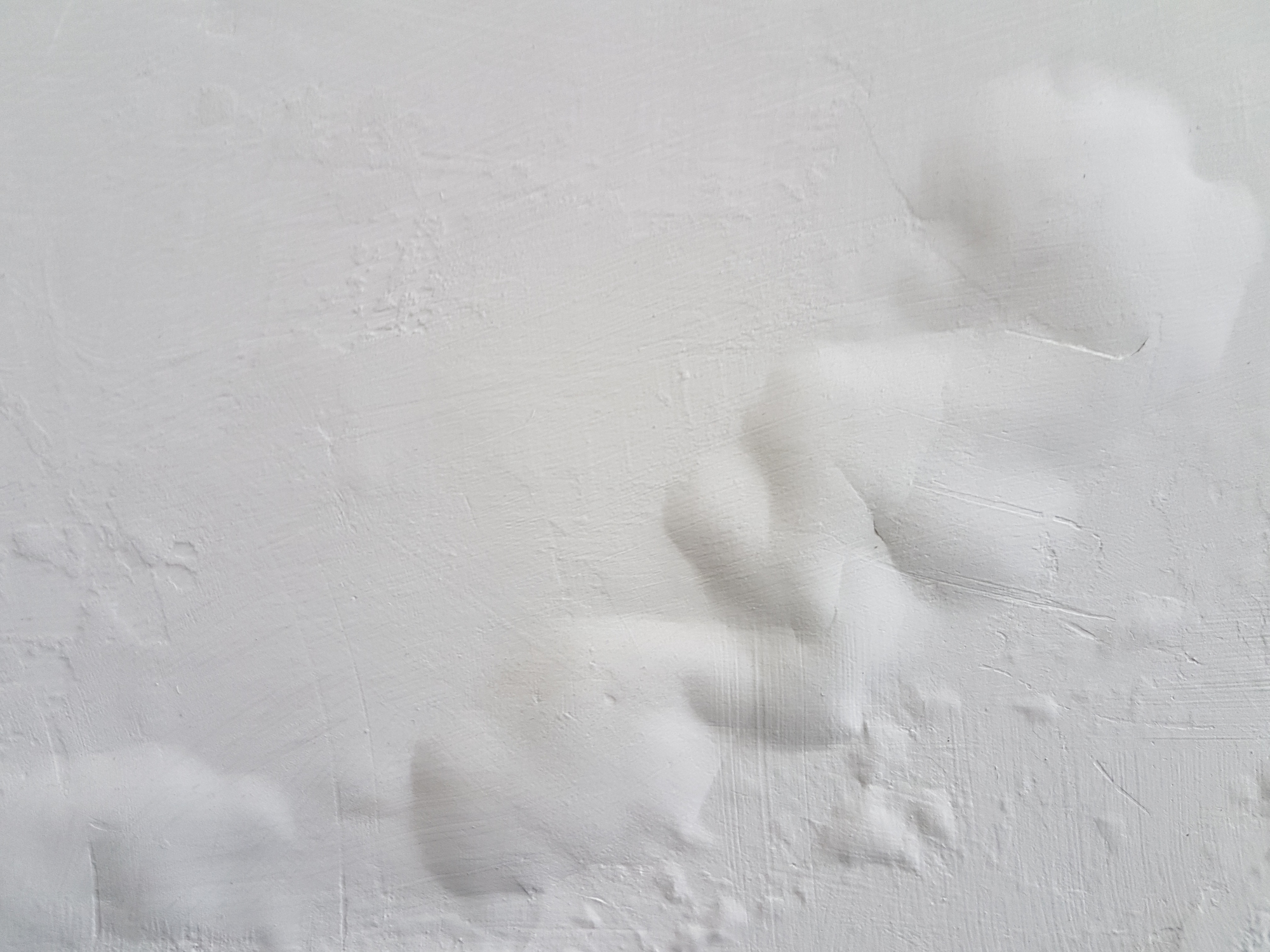 ceiling paint bubling