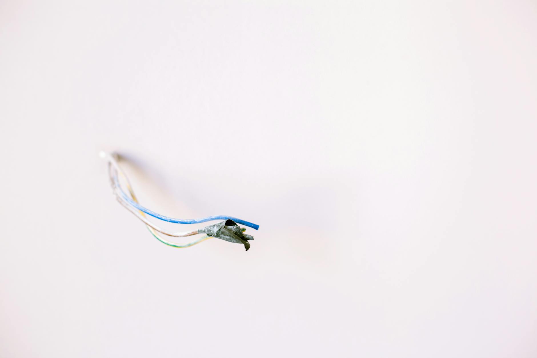 Loose electrical wires protruding from a white wall, ideal for home improvement concepts.