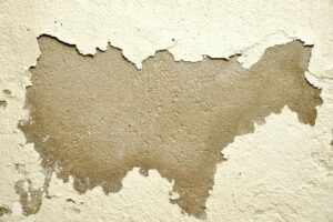 Close-up of a wall with peeling paint revealing the rough texture underneath.